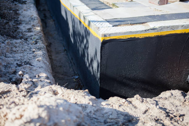 Professional Wet Basement Repair technician working in Petersburg, MI