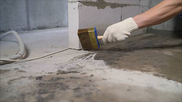 24/7 Emergency Wet Basement Repair experts in Petersburg, MI